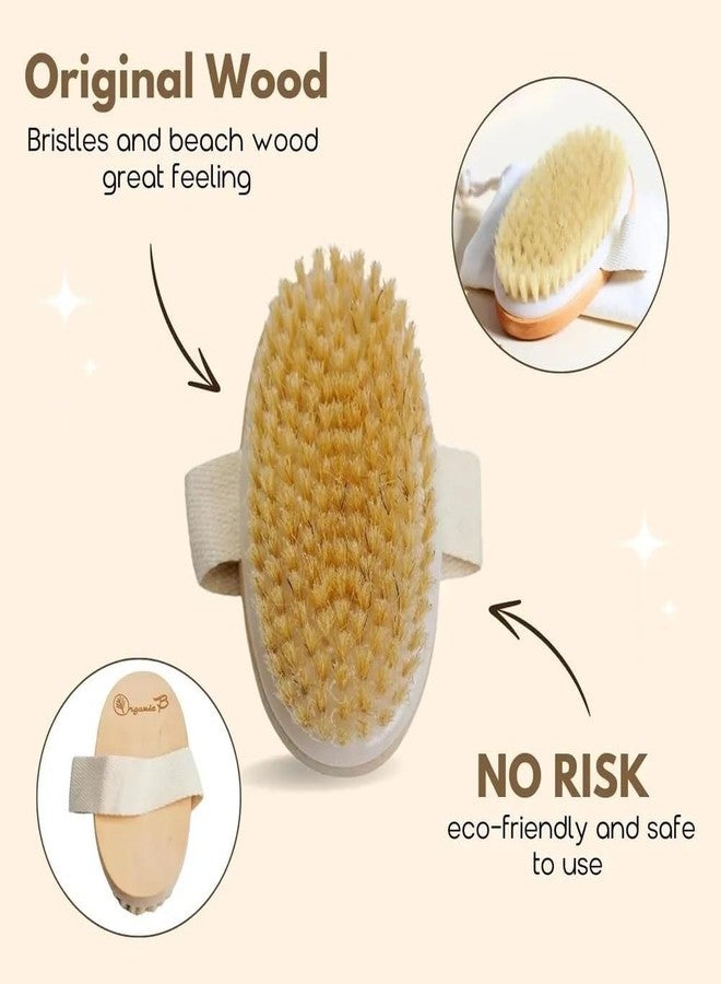 RECLUSE Dry Brushing Body Brush with Natural Bristles - Exfoliating Dry Skin Body Scrub Brush for Lymphatic Drainage, Cellulite Reduction & Smooth Flawless Skin - Wooden Handle Bath & Shower Brush - Image 2