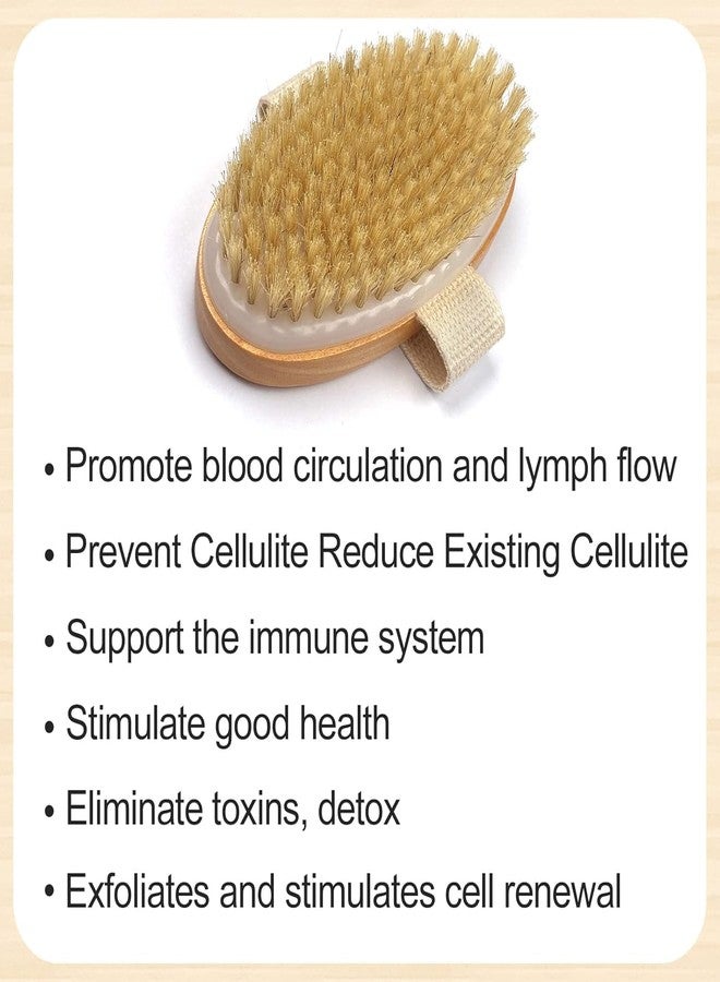 RECLUSE Dry Brushing Body Brush with Natural Bristles - Exfoliating Dry Skin Body Scrub Brush for Lymphatic Drainage, Cellulite Reduction & Smooth Flawless Skin - Wooden Handle Bath & Shower Brush - Image 5