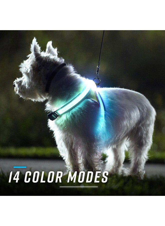 Noxgear LightHound - Revolutionary Illuminated and Reflective Harness for Dogs Including Multicolored LED Fiber Optics (USB Rechargeable, Adjustable, Lightweight, Rainproof) (Small) - Image 4