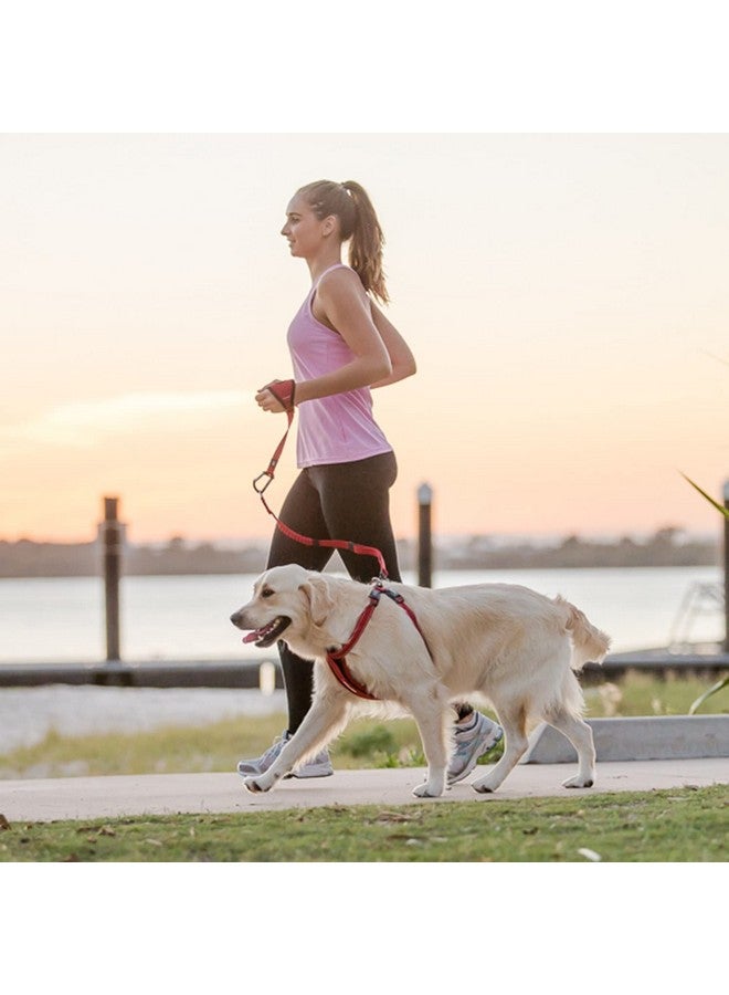 EzyDog Premium Handy Dog Leash - Soft and Secure Neoprene Glove Perfect for Running or Jogging - Add to Any Existing Leash or Combine with an Extension (15”, Red) - Image 3
