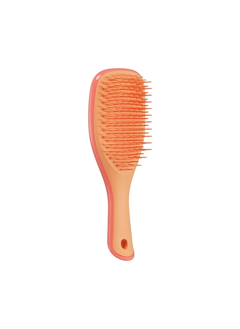 TANGLE TEEZER Ultimate Detangler Mini- Pink & Orange