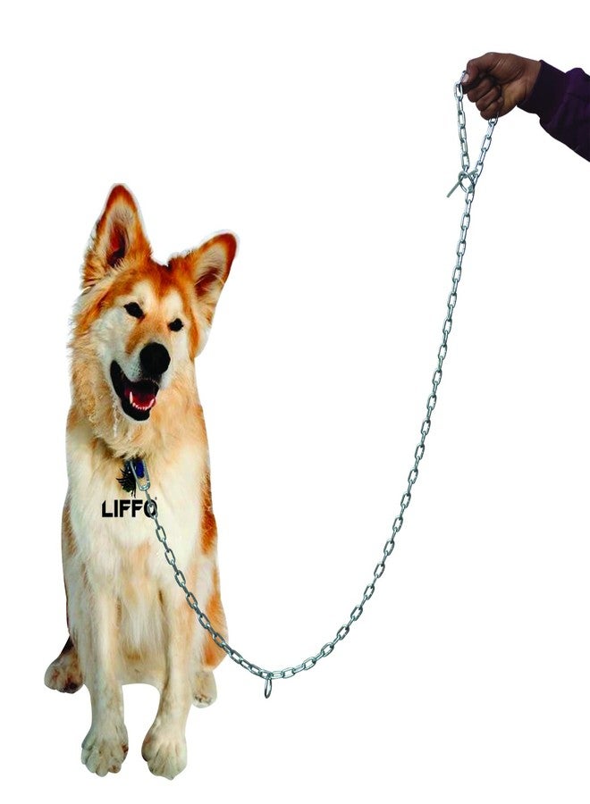 Liffo® Dog Chain,Heavy Duty Dog Leash,Metal Dog Leash Dog Chain with Hook Lock (L-66Inch) 4MM (DC-3) - Image 1