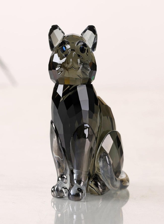 DOJOZ Crystal Cat Realistic Animal Kitten Art Figurine Collection Table top Ornament Statue Home Decor (Black) - Image 2