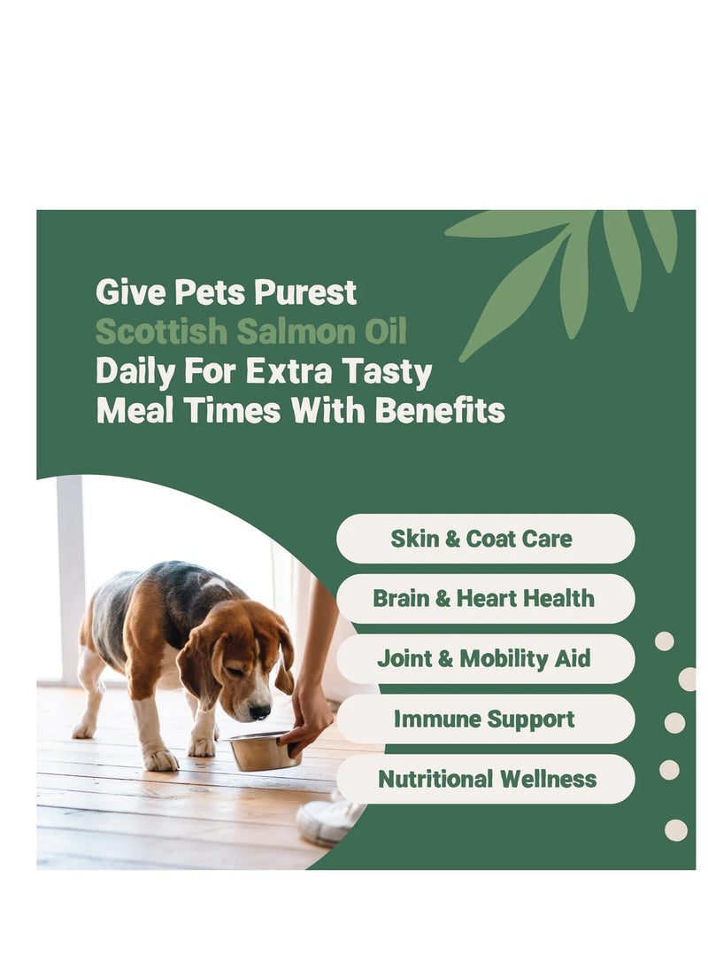 Pets Purest - Scottish Salmon Oil For Dogs, Cats, Horse, Ferret & Pet - Pure Omega 3, 6 & 9 Fish Oil Food Treats Supplement for Natural Coat, Immune Support, Itchy Skin, Joint & Brain Health 2x300mL - Image 1