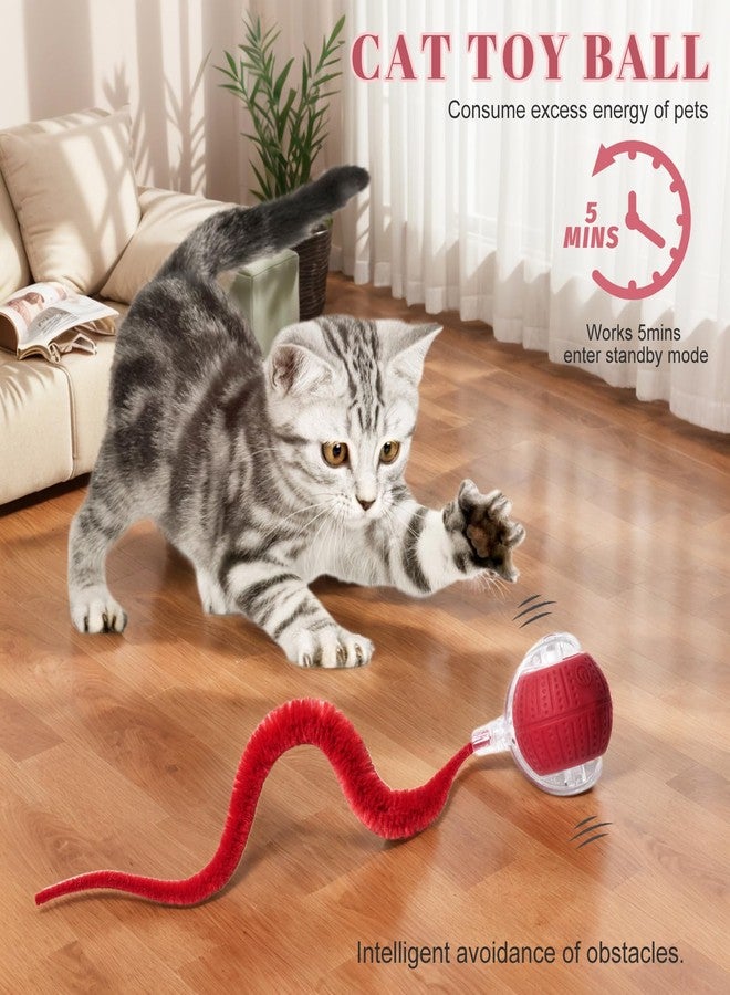 NVTED 2 PCS Interactive Cat Toys for Indoor Cats, Fast Rolling on Carpet Flash and Motion Activated Cat Balls for Bored Indoor Cats - Image 4