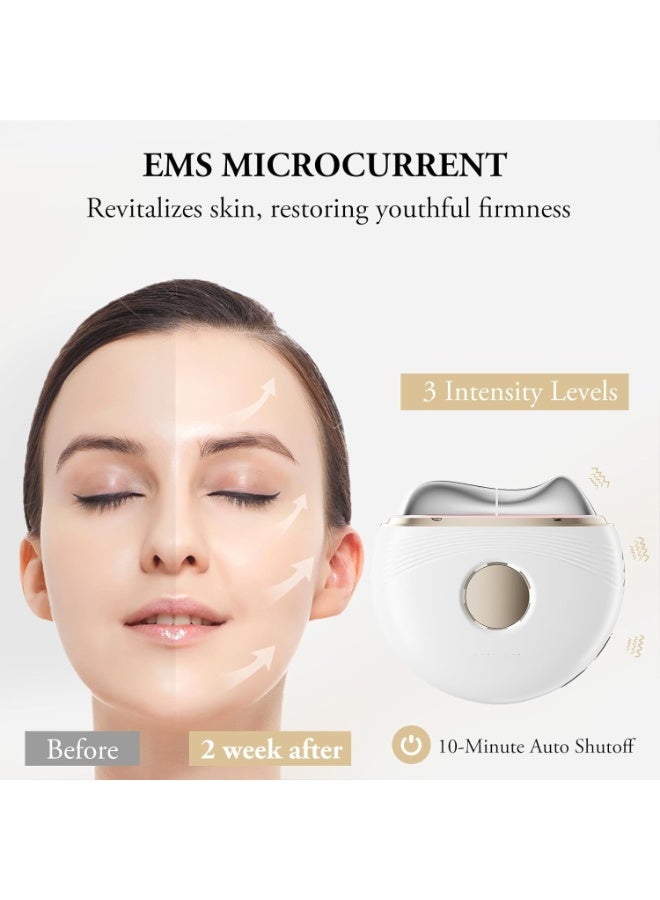 أدوات غوانشا الكهربائية للوجه، جهاز مضاد للشيخوخة مع علاج بالضوء الأزرق والبنفسجي والأحمر - جهاز تدليك بارد وساخن مع 3 مستويات شدة لتقليل التجاعيد - Image 2