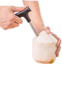 Generic Coconut Opener  - Image 3