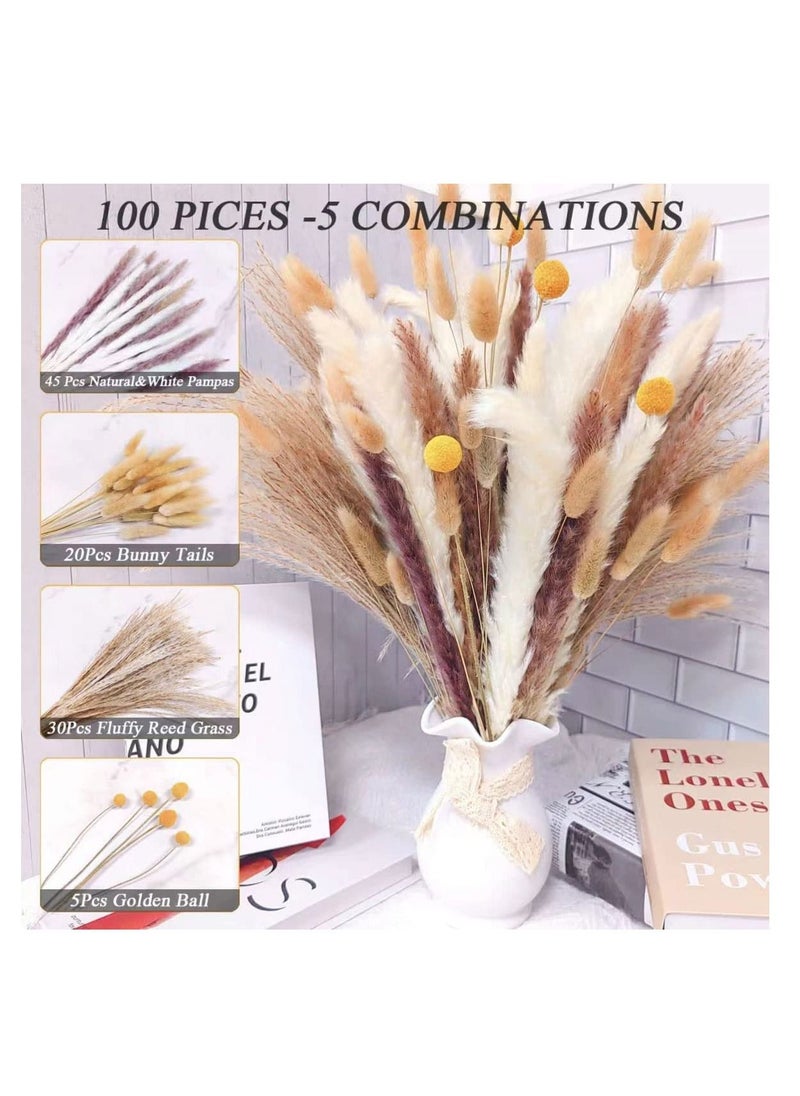 Excefore Natural Dried Pampas Grass, Boho Decor Fluffy White Pompous Grass Large Reed Bunny Tail Wheat Stalk Decorative Plumes Italian Ruscus Solidago Goldenrod Flower Bouquet for Wedding Fall Home Decor  - Image 1
