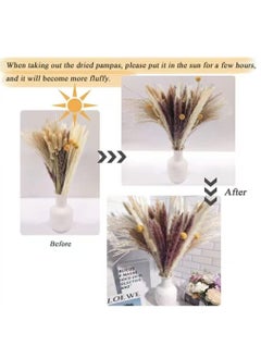 Excefore Natural Dried Pampas Grass, Boho Decor Fluffy White Pompous Grass Large Reed Bunny Tail Wheat Stalk Decorative Plumes Italian Ruscus Solidago Goldenrod Flower Bouquet for Wedding Fall Home Decor  - Image 5