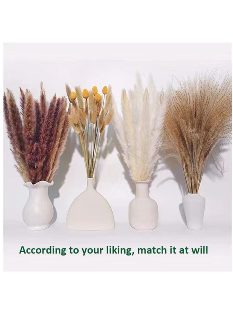 Excefore Natural Dried Pampas Grass, Boho Decor Fluffy White Pompous Grass Large Reed Bunny Tail Wheat Stalk Decorative Plumes Italian Ruscus Solidago Goldenrod Flower Bouquet for Wedding Fall Home Decor  - Image 2