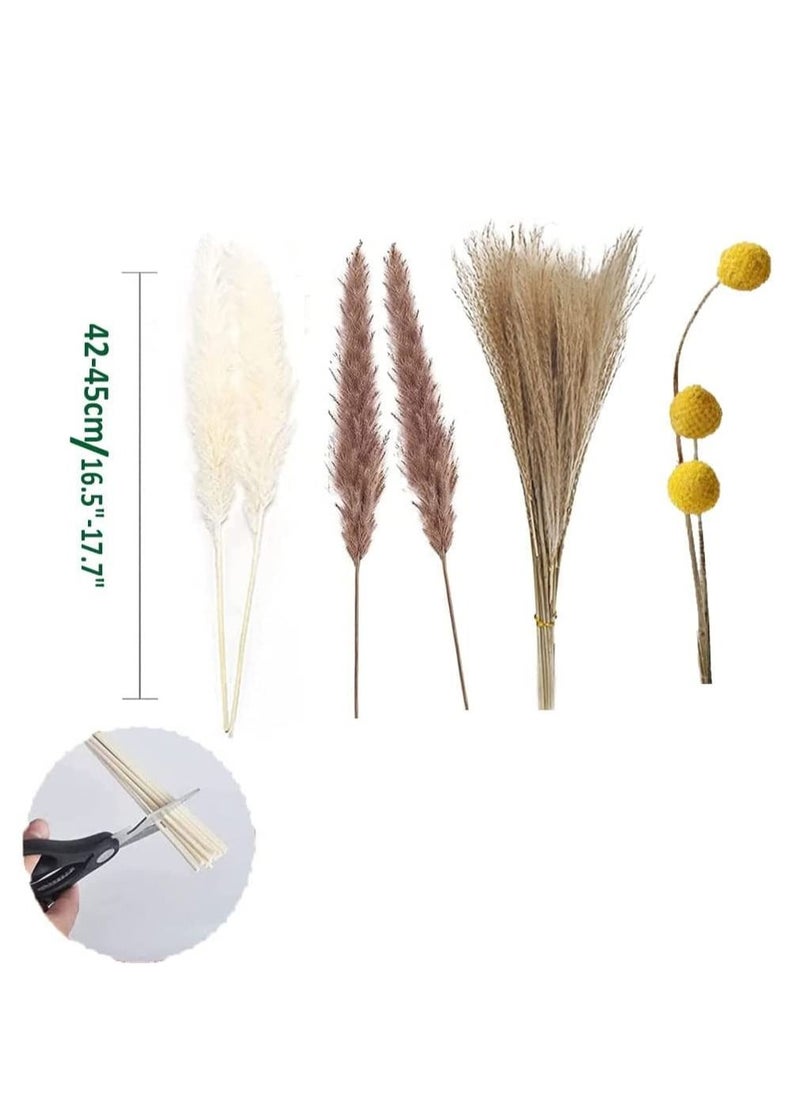 Excefore Natural Dried Pampas Grass, Boho Decor Fluffy White Pompous Grass Large Reed Bunny Tail Wheat Stalk Decorative Plumes Italian Ruscus Solidago Goldenrod Flower Bouquet for Wedding Fall Home Decor  - Image 4