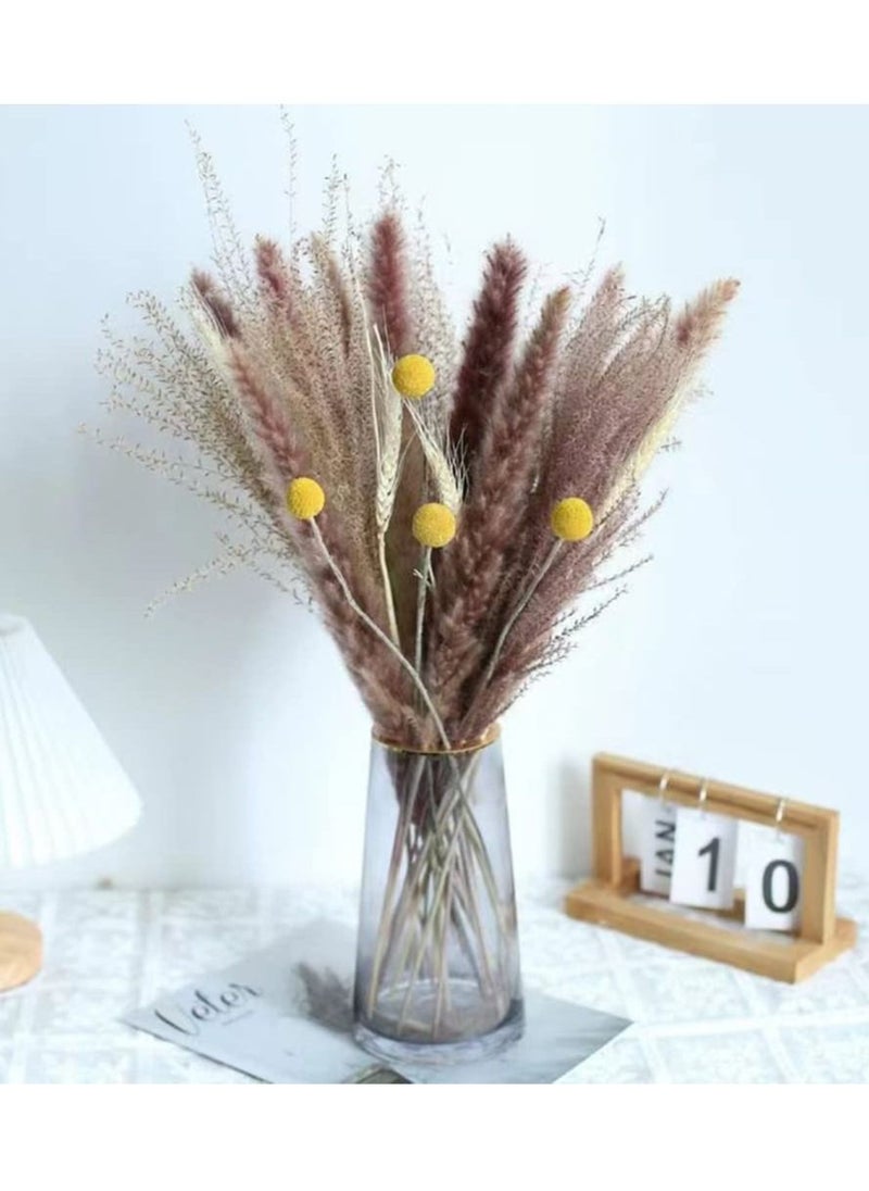 Excefore Natural Dried Pampas Grass, Boho Decor Fluffy White Pompous Grass Large Reed Bunny Tail Wheat Stalk Decorative Plumes Italian Ruscus Solidago Goldenrod Flower Bouquet for Wedding Fall Home Decor  - Image 3