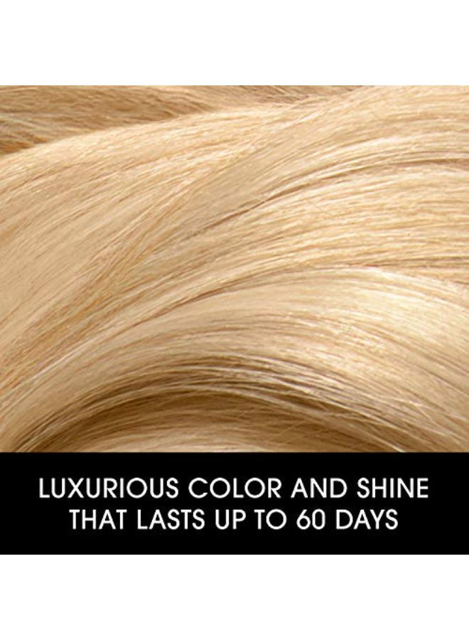 CLAIROL Nice?N Easy Perfect 10 Permanent Hair Dye, 4R Dark Auburn Hair Color, 1 Count - Image 2
