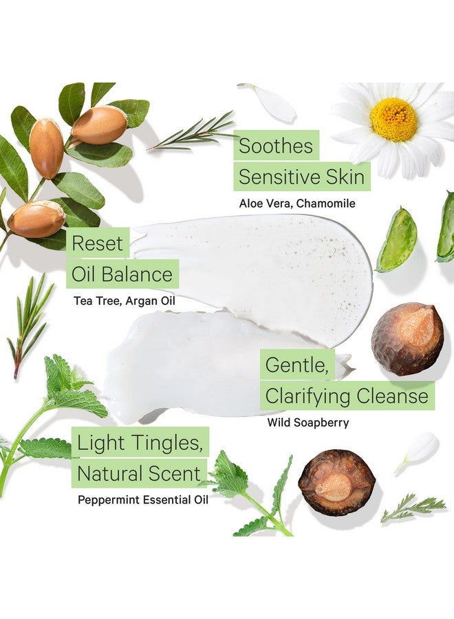 Tree to Tub Sulfate Free Shampoo And Conditioner Set For Oily Hair Frizz Sensitive Scalp Hydrating Argan Oil Shampoo And Conditioner For Women & Men W/Organic Coconut Oil All Natural Peppermint - Image 4