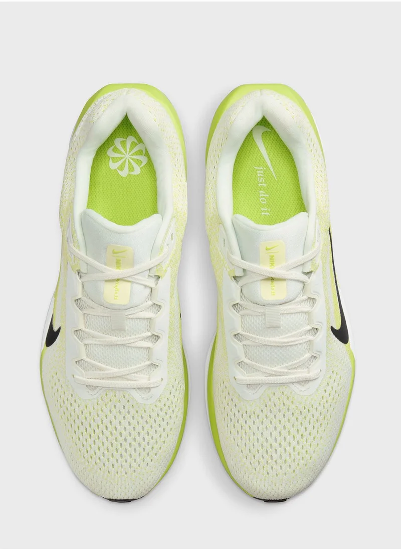 Nike Air Winflo 11