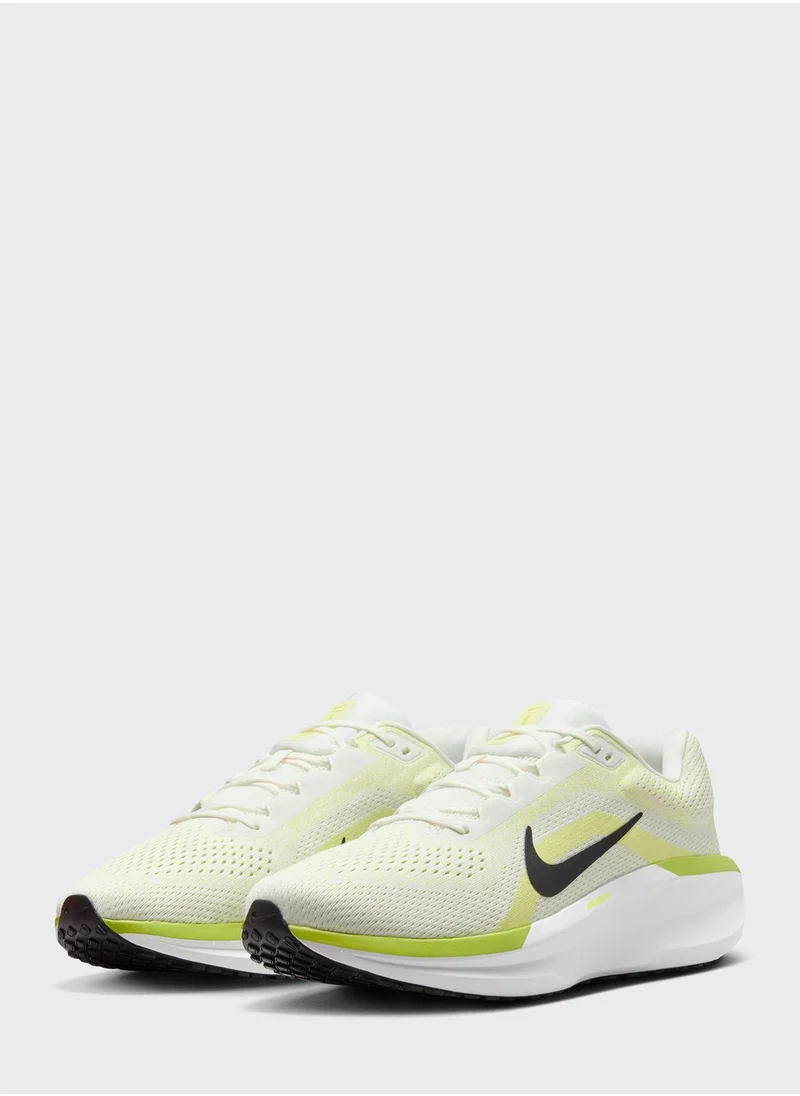 Nike Air Winflo 11