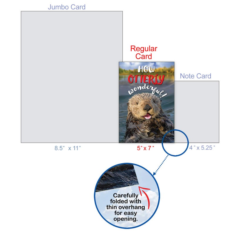 NobleWorks - Fun Congratulations Card with Envelope - Congrats Humor, Encouragement Greeting - Otterly Awesome C6574FCGG - Image 4
