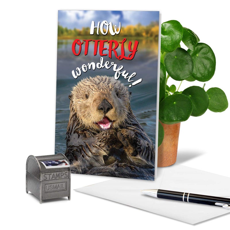 NobleWorks - Fun Congratulations Card with Envelope - Congrats Humor, Encouragement Greeting - Otterly Awesome C6574FCGG - Image 3