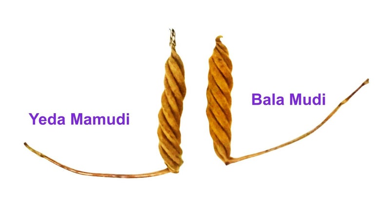 Pooja Ghar Devi Sri Guru ji Kit Devils Pod Nazar Kit 2 Pcs Bala MUDI Yeda MUDI 1 Pc Gomti Chakra 05 Pcs Laxmi Gavvulu2 PcsFree Pouch1 Pc 11 Pieces Multi Color - Image 5