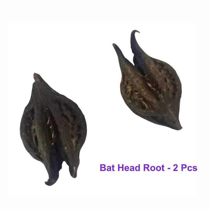 Pooja Ghar Devi Sri Guru ji Kit Devils Pod Nazar Kit 2 Pcs Bala MUDI Yeda MUDI 1 Pc Gomti Chakra 05 Pcs Laxmi Gavvulu2 PcsFree Pouch1 Pc 11 Pieces Multi Color - Image 4