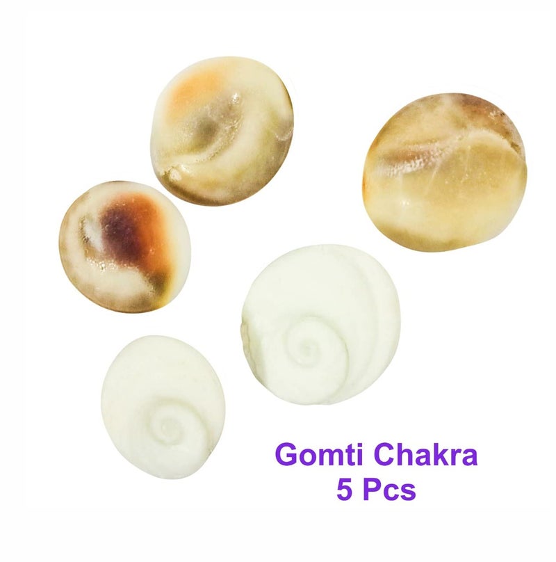 Pooja Ghar Devi Sri Guru ji Kit Devils Pod Nazar Kit 2 Pcs Bala MUDI Yeda MUDI 1 Pc Gomti Chakra 05 Pcs Laxmi Gavvulu2 PcsFree Pouch1 Pc 11 Pieces Multi Color - Image 2