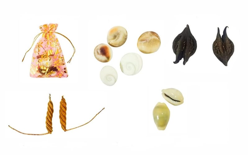 Pooja Ghar Devi Sri Guru ji Kit Devils Pod Nazar Kit 2 Pcs Bala MUDI Yeda MUDI 1 Pc Gomti Chakra 05 Pcs Laxmi Gavvulu2 PcsFree Pouch1 Pc 11 Pieces Multi Color - Image 1