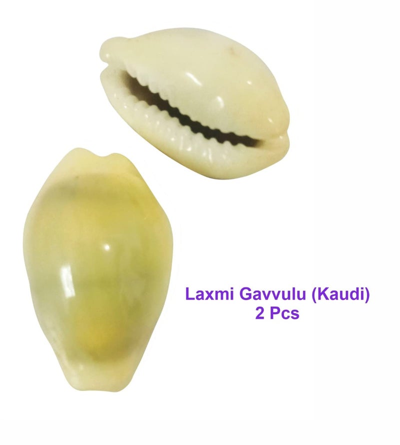 Pooja Ghar Devi Sri Guru ji Kit Devils Pod Nazar Kit 2 Pcs Bala MUDI Yeda MUDI 1 Pc Gomti Chakra 05 Pcs Laxmi Gavvulu2 PcsFree Pouch1 Pc 11 Pieces Multi Color - Image 3