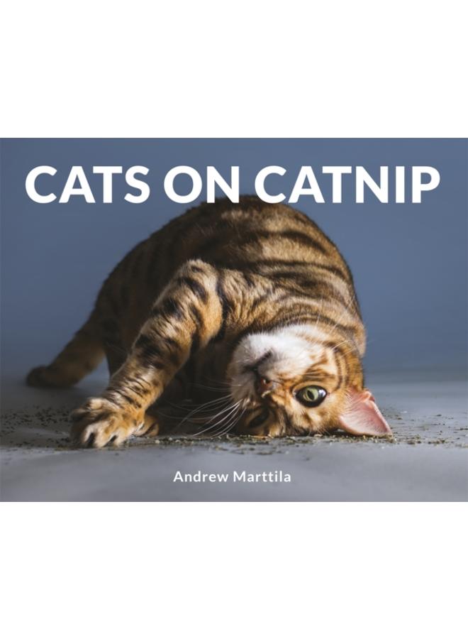 Cats on Catnip 