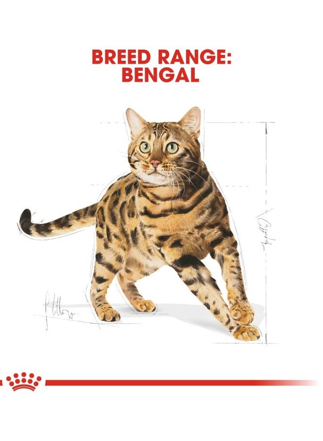 ROYAL CANIN Feline Breed Nutrition Bengal Adult 2 kg - Image 4