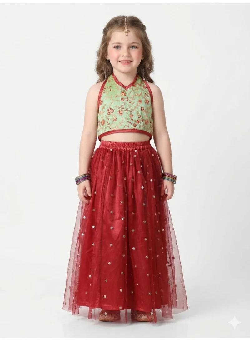 Saka Designs Girls Embroidered Sequinned Lehenga & Choli Set