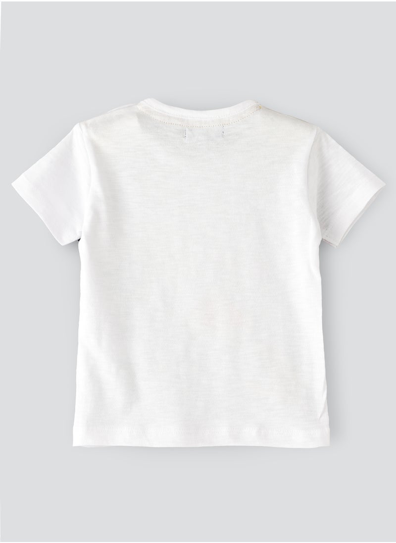 JAM Boys Short-Sleeve Cotton Tees for Spring & Summer | Playful Prints  - Image 2