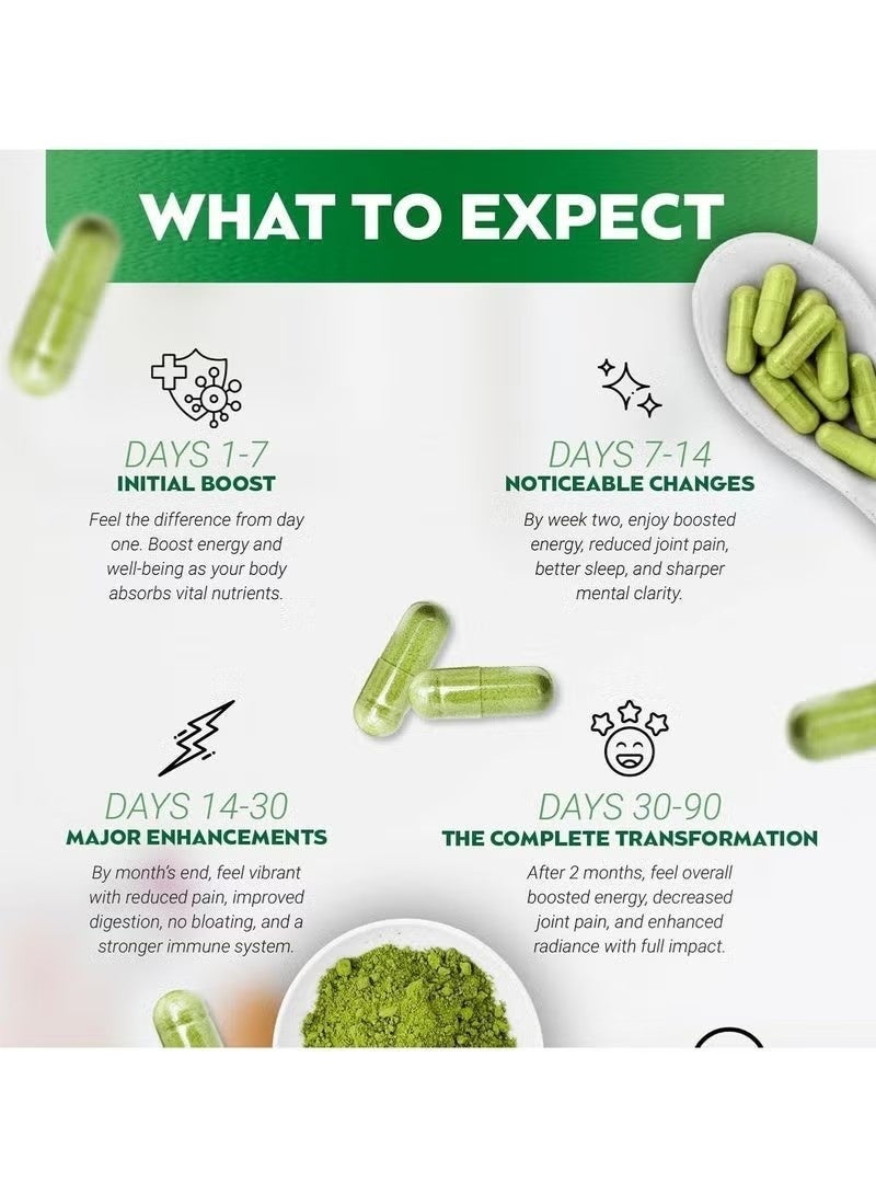 مورينجا كبسولات مسحوق مورينغا غنية بالمغذيات النقية مسحوق مورينغا مضاد للأكسدة الأخضر الطبيعي يدعم الطاقة صحة الجلد صحة الأمعاء + الفيتامينات الأساسية والأحماض الأمينية A1 - Image 3