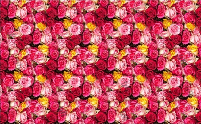 S2S قماش خلفية روز براى لتزيين البوجا التقليدي، قماش تزيين خلفية | قماش ستارة لجميع المهرجانات والفعاليات والمناسبات - (5 × 8 قدم) (روز براى) - Image 2