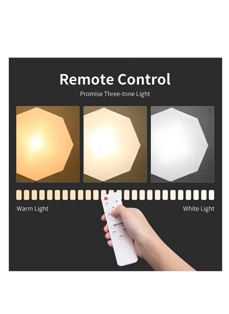 Kiboule - Professional Studio Octagonal Softbox Set 200W LED Tri-Colour Dimmer 360° Panoramic Fill Light Studio Indoor Fill Light 70*70cm Softbox+200W Bulb+2M Light Stand+Storage Bag - Image 1
