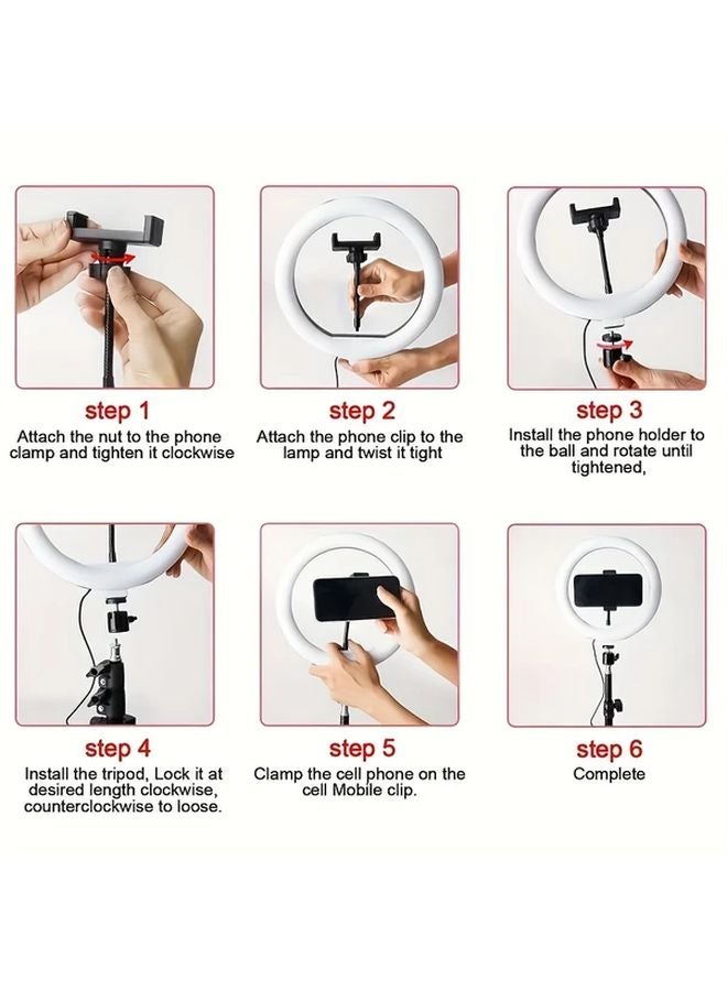 12 بوصة حلقة ضوء LED أسود مع حامل ثلاثي القوائم للبث المباشر على يوتيوب وإنشاء مدونات الفيديو - Image 4