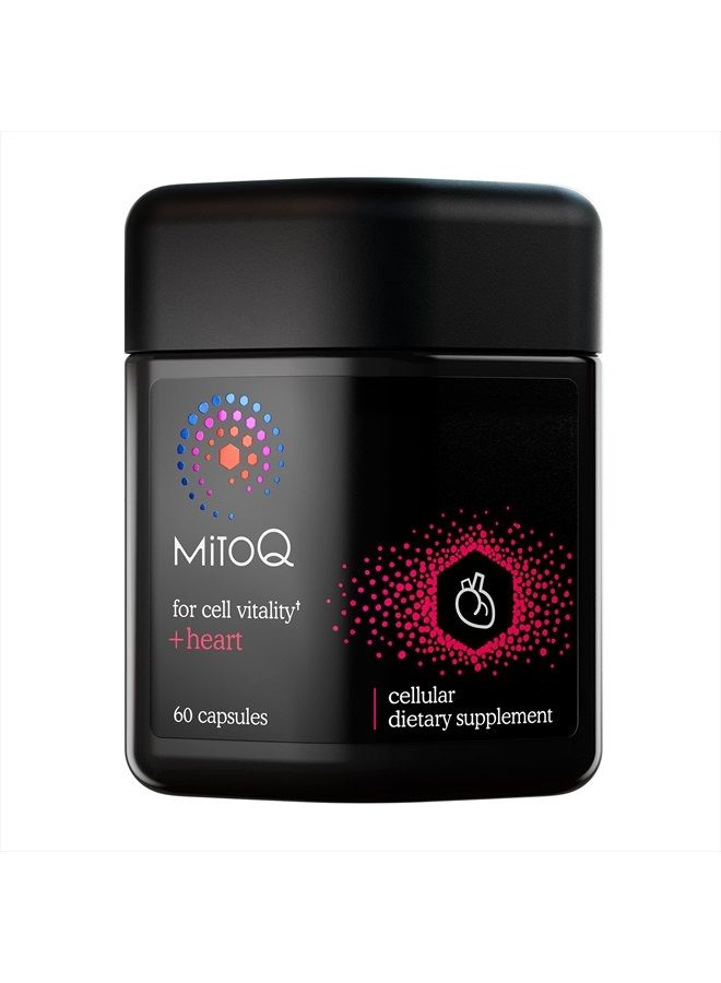 MitoQ Heart Premium CoQ10 Antioxidant - Contains Magnesium, L-Carnitine & Vitamin D3 - Supports Circulatory Health, Healthy Blood Circulation Within Normal Limits and Cellular Health - 60 Capsules - Image 1