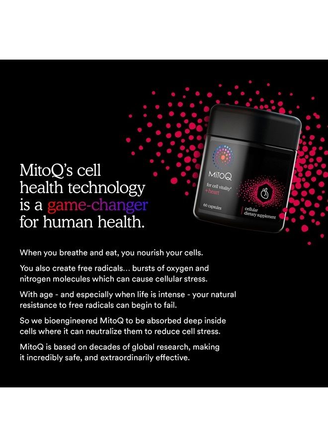 MitoQ Heart Premium CoQ10 Antioxidant - Contains Magnesium, L-Carnitine & Vitamin D3 - Supports Circulatory Health, Healthy Blood Circulation Within Normal Limits and Cellular Health - 60 Capsules - Image 2