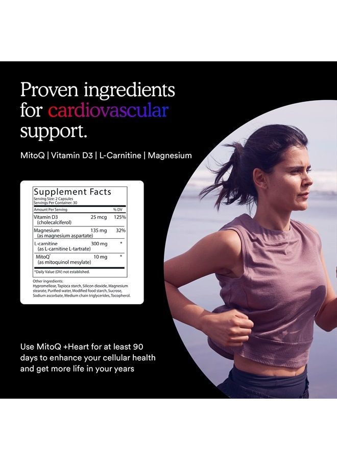 MitoQ Heart Premium CoQ10 Antioxidant - Contains Magnesium, L-Carnitine & Vitamin D3 - Supports Circulatory Health, Healthy Blood Circulation Within Normal Limits and Cellular Health - 60 Capsules - Image 5