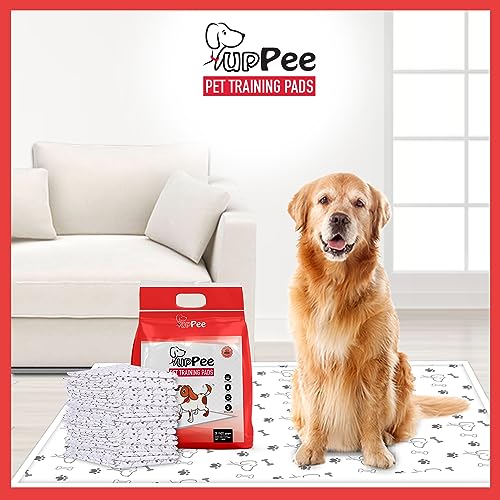 PUPPEE Training Pads With Super Absorbent | Waterproof | 4 Layered Leak Proof | POOP Training Pads | Potty Pads | Pet & Puppy Peeing Toilet Trainer | Non Slippery | Dog & Cat Toilet Trainer Mat - Size : 60X90CM ( EXTRA LARGE SIZE )- 30 COUNT - Image 2