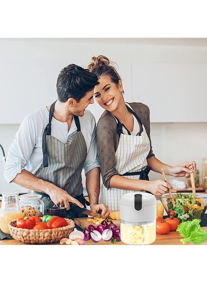 MostNow مفرمة الثوم الكهربائية MostNow، مفرمة الخضار المحمولة الصغيرة، مفرمة الثوم 250 مل، مفرمة البصل، خلاط الخضار، محضر طعام لاسلكي للزنجبيل، الفلفل الحار، الفاكهة، اللحوم، إلخ. - Image 5