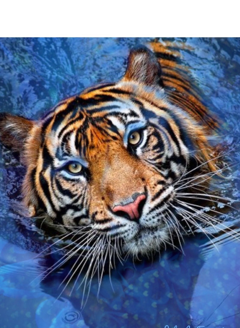 STRATEG DIY 5D Round Diamond Painting Craft Kits Multicolor - Image 1