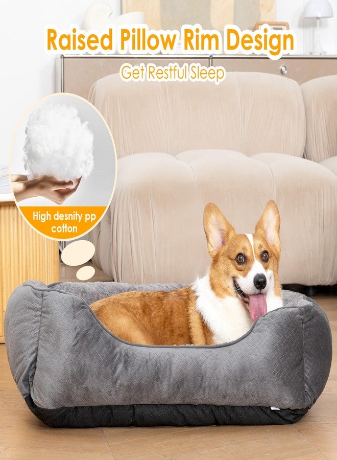 Oveppy Dog Bed for Small Dogs Washable, Super Soft Durable Cat Bed, Warming Soft Calming Puppy Bed Pet Bed with Anti-Slip Bottom, Grey, 20 x 19 x 6inch - Image 2