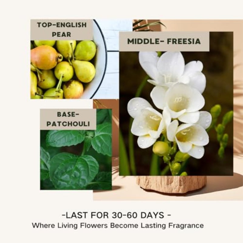 Reed Diffuser Set/English PearandFreesia/ 120ml/ with Preserved Flowers Scent Fragrance Oil Diffuser with Sticks for Home Bedroom Bathroom Accessories Office Shelf Decor Gift Women - Image 3
