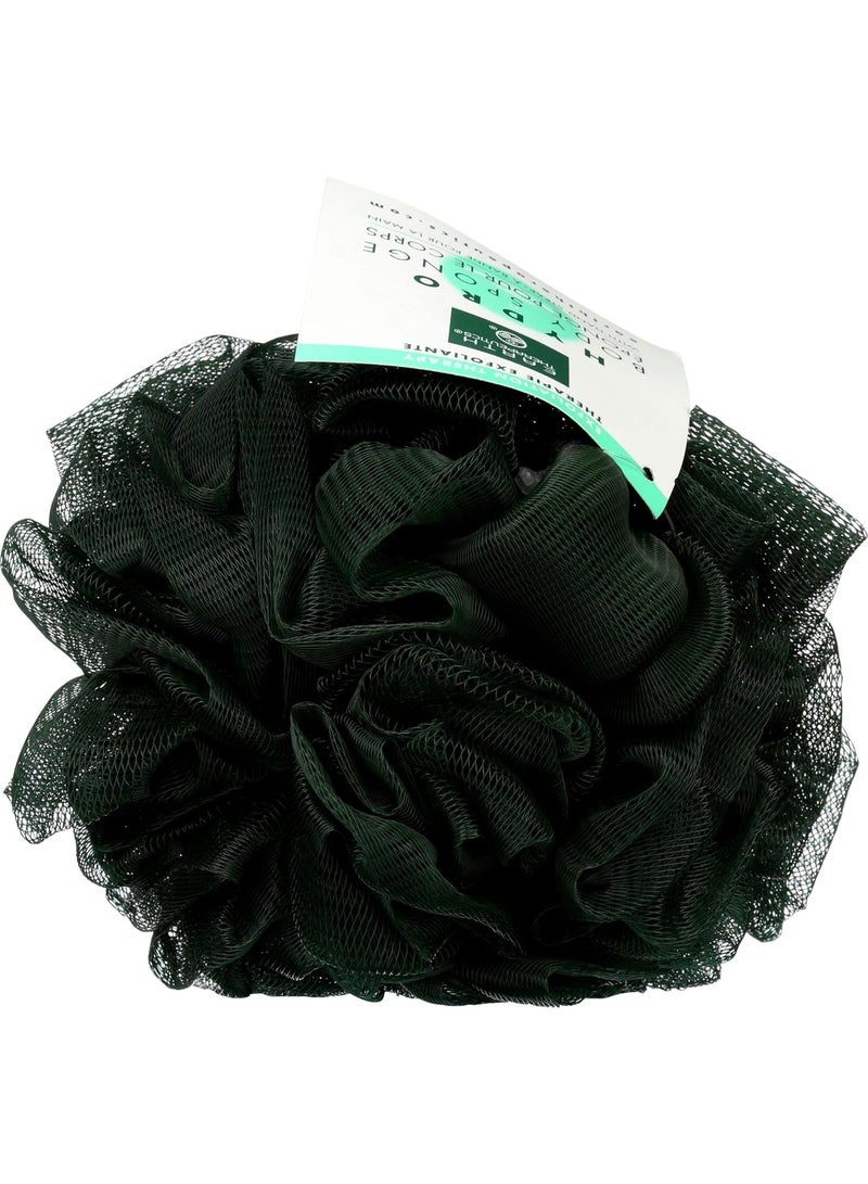 Earth Therapeutics SPONGE BODY W HND STRP GR - Image 3