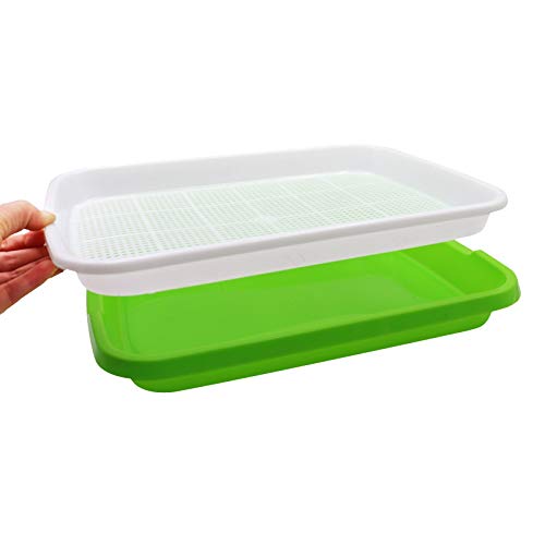 N.C NC Seed Sprouter Tray, 6 Pack Bpa Free Nursey Tray Seed Germination Trays for Wheatgrass, Cat Grass, Microgreens - Image 3