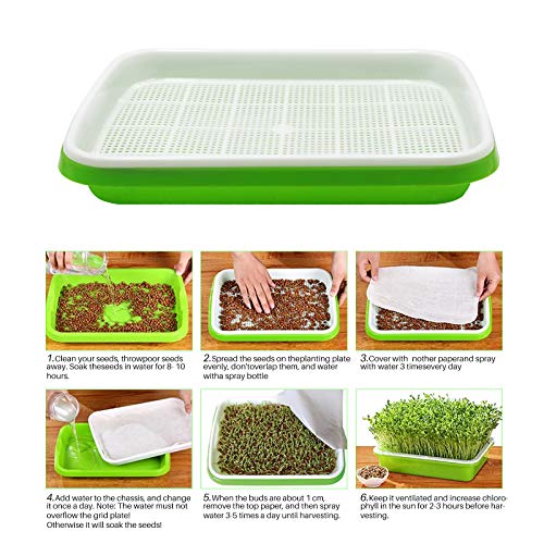 N.C NC Seed Sprouter Tray, 6 Pack Bpa Free Nursey Tray Seed Germination Trays for Wheatgrass, Cat Grass, Microgreens - Image 5