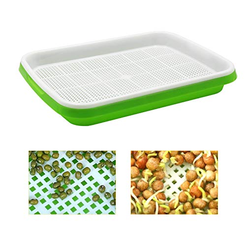 N.C NC Seed Sprouter Tray, 6 Pack Bpa Free Nursey Tray Seed Germination Trays for Wheatgrass, Cat Grass, Microgreens - Image 4