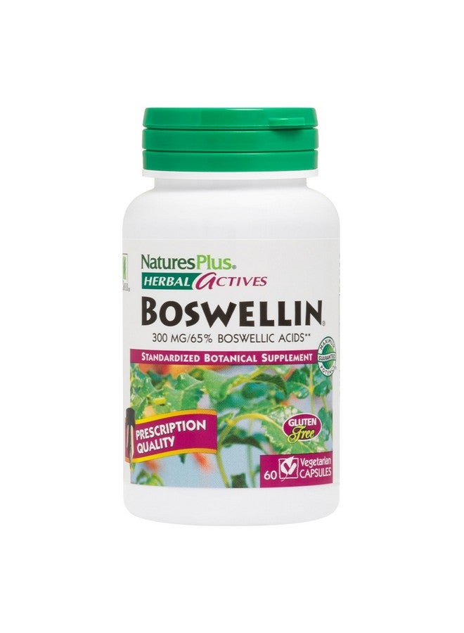 Natures Plus Herbal Actives Boswellin - 300 mg, 65% Boswellic Acids, 60 Vegan Capsules -Gluten-Free - 60 Servings - Image 1