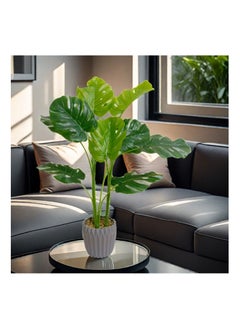 Generic Artificial Turtle Back Plants 70cm high Home Decoration Indoor and Outdoor Artificial Large Plants Bonsai Suitable for Modern Office Living Room Home Furnishings Gifts with Flower Pots(70cm)  - Image 5