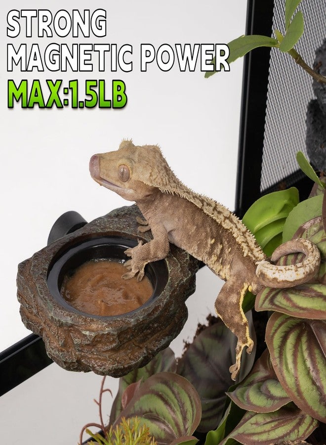 OIIBO Magnetic Gecko Feeding Ledge, Reptile Food Dish with 3PCS Feeding Cups Crested Gecko Feeder Ledge Water Bowl for Lizard Chameleon Bearded Dragon Tank Accessories - Image 3